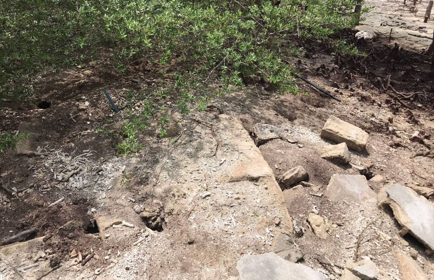 ވ. އަންބަރާ ކަނޑޫފަަލަށް ވެލި އަޅައިފައި -- ފޮޓޯ | ޝުޖާއު އަލީ