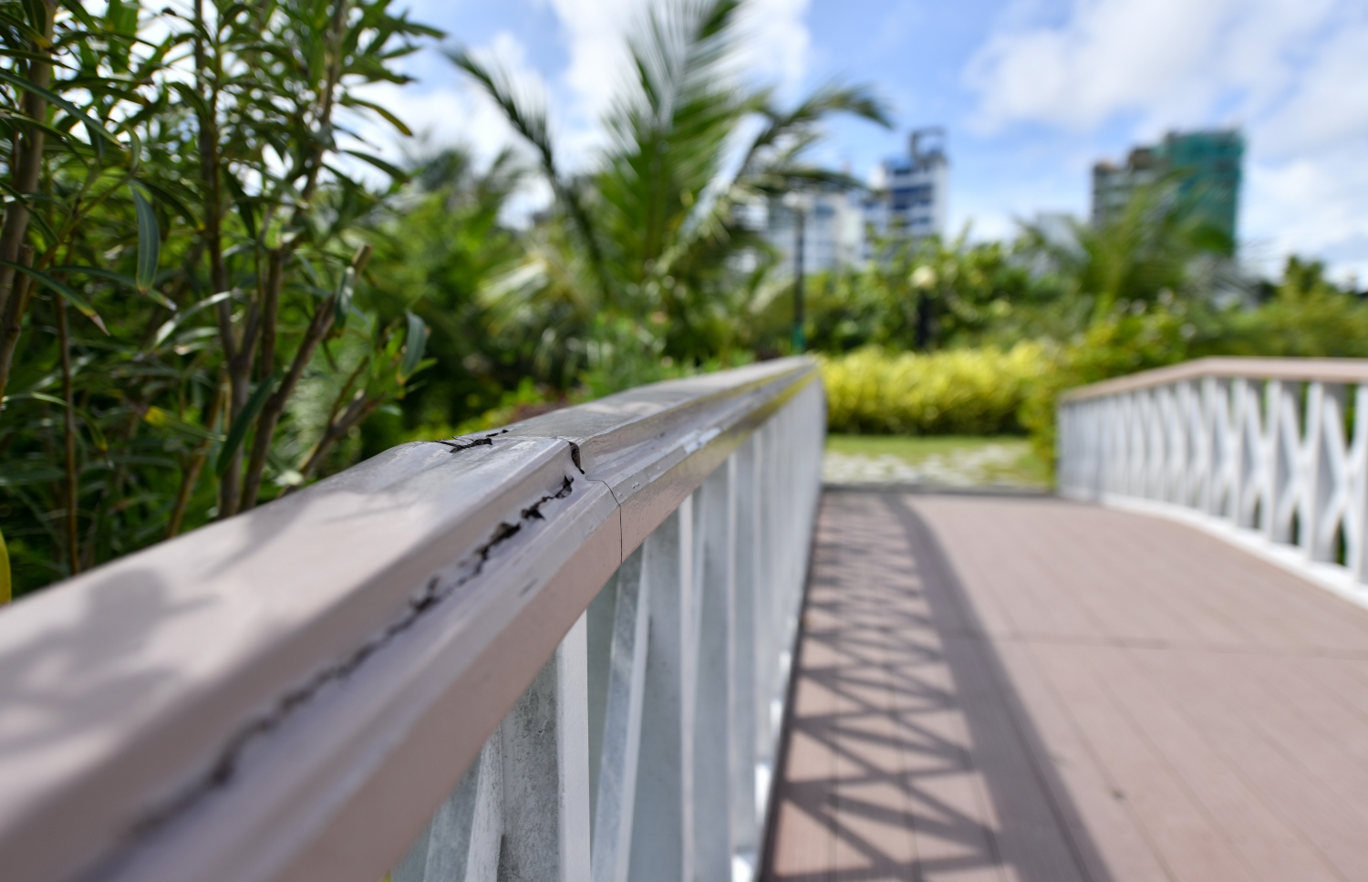 ލޮނުޒިޔާރަތް ޕާކުގެ ހަދާފައި ހުންނަ ފާލަން: އެތަނާ އެހެން ތަންތަނުގެ މެއިންޓަނަސްގެ މަސައްކަތް ނުކުރާ ކަމުގެ ޝަކުވާ ކުރޭ -- ފޮޓޯ: ފަޔާޒް މޫސާ | މިހާރު