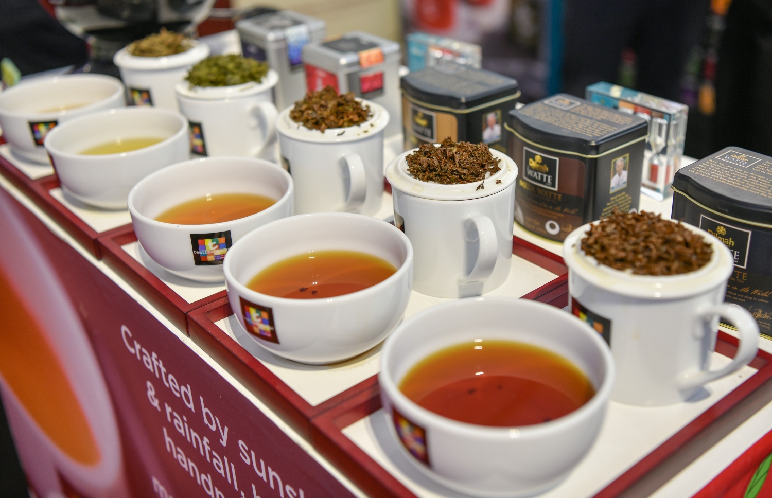 "ދިލްމާ"ގެ އެކި ވައްތަރުގެ ޓީ. ފޮޓޯ: ނިޝާން އަލީ | މިހާރު