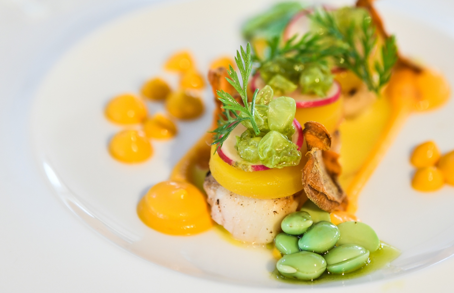 ރާއްޖޭގައި ބާއްވާ ފުޑް އެންޑް ހޮސްޕިޓައިލިޓީ އޭޝިއާ މޯލްޑިވްސް ފެއާގެ ކަލިނަރީ ޗެލެންޖުގައި ތައްޔާރުކޮށްފައިވާ ބައެއް ތަކެތި. ތަފާތު ވައްތަރުގެ ޑެޒާޓުތަކާއި ޑީޝްތައް ތަޖުރިބާ ކޮށްލުމުގެ ފުރުސަތު އެ އެކްސްޕޯއިން ލިބޭނެ. ފޮޓޯ: ނިޝާން އަލީ | މިހާރު