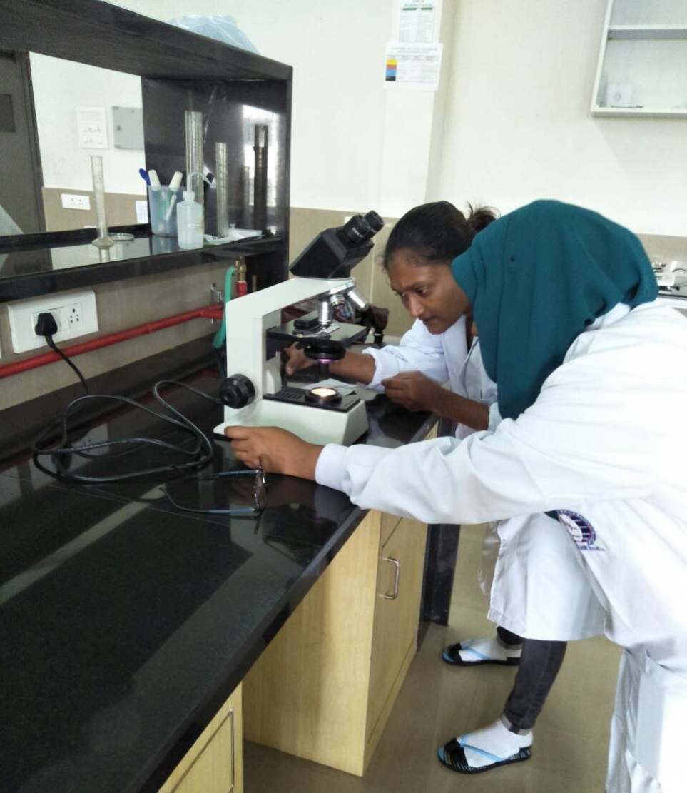 "އެކުއަކަލްޗާ" ނުވަތަ ކަނޑުގެ ދިރުންތައް ވިއްސައި، އާލާކުރުމުގެ ދާއިރާގައި މަސައްކަތްކުރައްވާ ޝާފިއާ ނައީމް: ސާމްޕަލެއް ތަހުލީލުކުރެއްވުމުގެ މަސައްކަތުގައި.