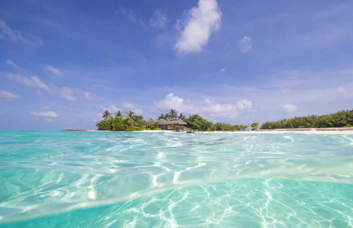 ފޯ ސީޒަންސްގެ ކުޑަ ހުރާ ރިސޯޓު: ޓުއާގެ ބައިވެރިން ރާއްޖެ އައިސް ތިބޭ ރިސޯޓް