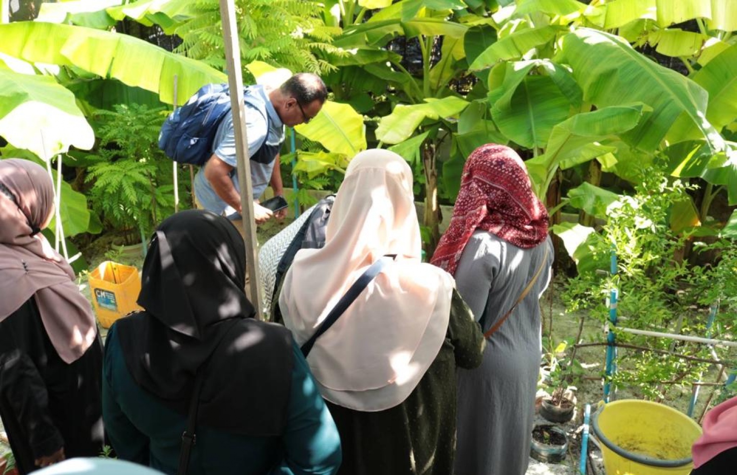 ދިރިއުޅޭ ގޭގައި ހޮރިކަލްޗަރަލް ކްރޮޕް ހެއްދުމާ ގުޅޭގޮތުން ކުރިއަށް ދިޔަ ތަމްރީން ޕްރޮގްރާމްގެ ތެރެެއިން ---ފޮޓޯ: އެމްއައި ކޮލެޖް