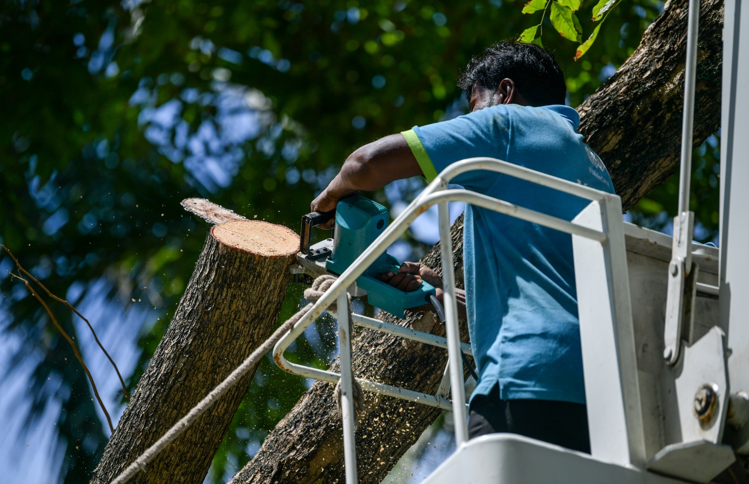 އަމީނީމަގުގައި ހުރި ގަސްތަކުގެ އޮފިތައް ކޮށައިދިނުމުގެ މަސައްކަތުގައި މާލޭ ސިޓީ ކައުންސިލްގެ މުވައްޒަފުން މަސައްކަތް ކުރަނީ -- ފޮޓޯ: ފަޔާޒް މޫސާ | މިހާރު