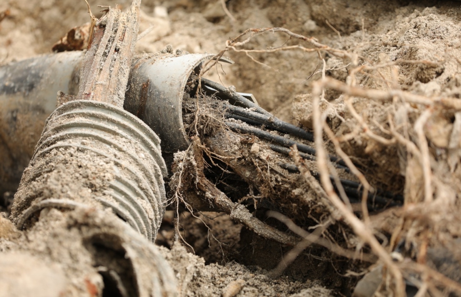 އަމީނީ މަގުގައި އާރްޑީސީން ކޮނެފައި އޮތް އިރު، ގަސްތަކުގެ މޫތައް ވަދެ ބެދިފައި އޮތް ހޮޅިއެއް. އާރްޑީސީއިން ބުނަނީ މިހެން ވިޔަ ނުދިނުމަށް އަމީނީ މަގުގައި އެހެން ބާވަތެއްގެ ގަސްތަކެއް އިންދަން ޖެހޭ ކަމަށް. -- ފޮޓޯ: އާރްޑީސީ