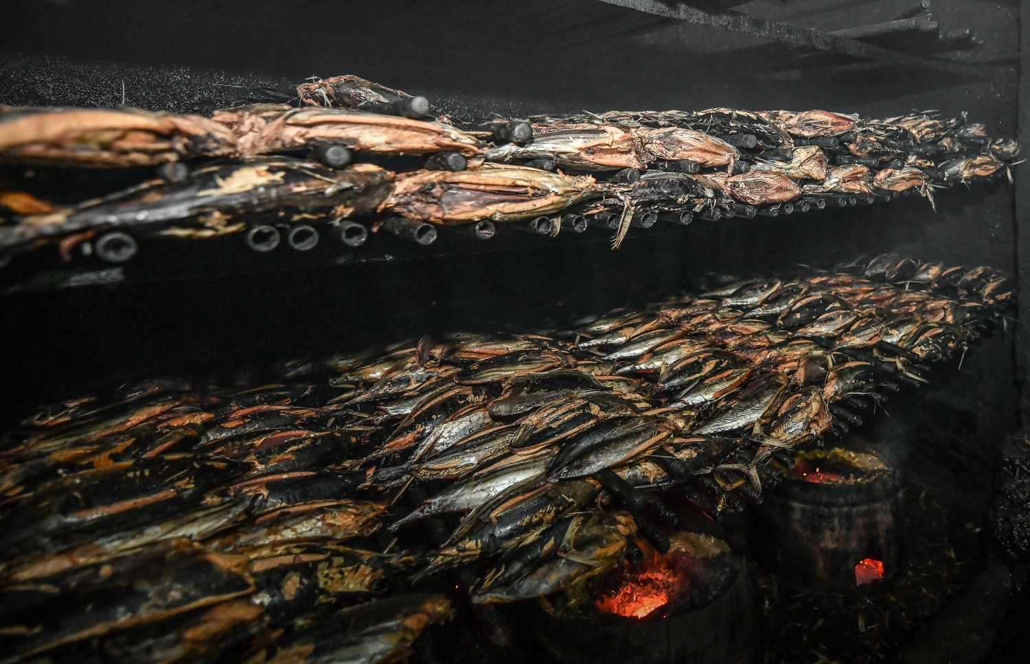 މަސް ހިއްކުމުގެ މަސައްކަތް ސަމީއުބެ ކުރަނީ އެންމެ ކުރިއްސުރެ ފެށިގެން ވެސް އޭނާ ބޭނުންކުރަމުން އައި ބަދިގޭގަގަ އެވެ. އޭނާ ބުނާގޮތުން އެ ބަދިގެ އިން މާ ބޮޑު ބަދަލެއް ނުފެންނާނެ އެވެ.