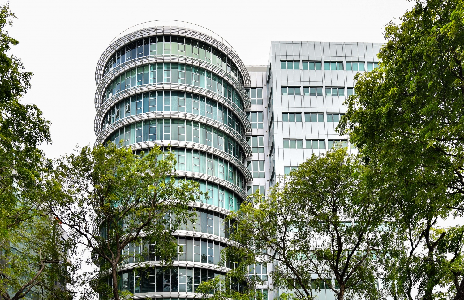 ސީއެސްސީގެ ގިނަ ބަޔަކު ވަޒީފާ އަދާކުރާ ވެލާނާ ބިލްޑިން --- ފޮޓޯ/ މިހާރު