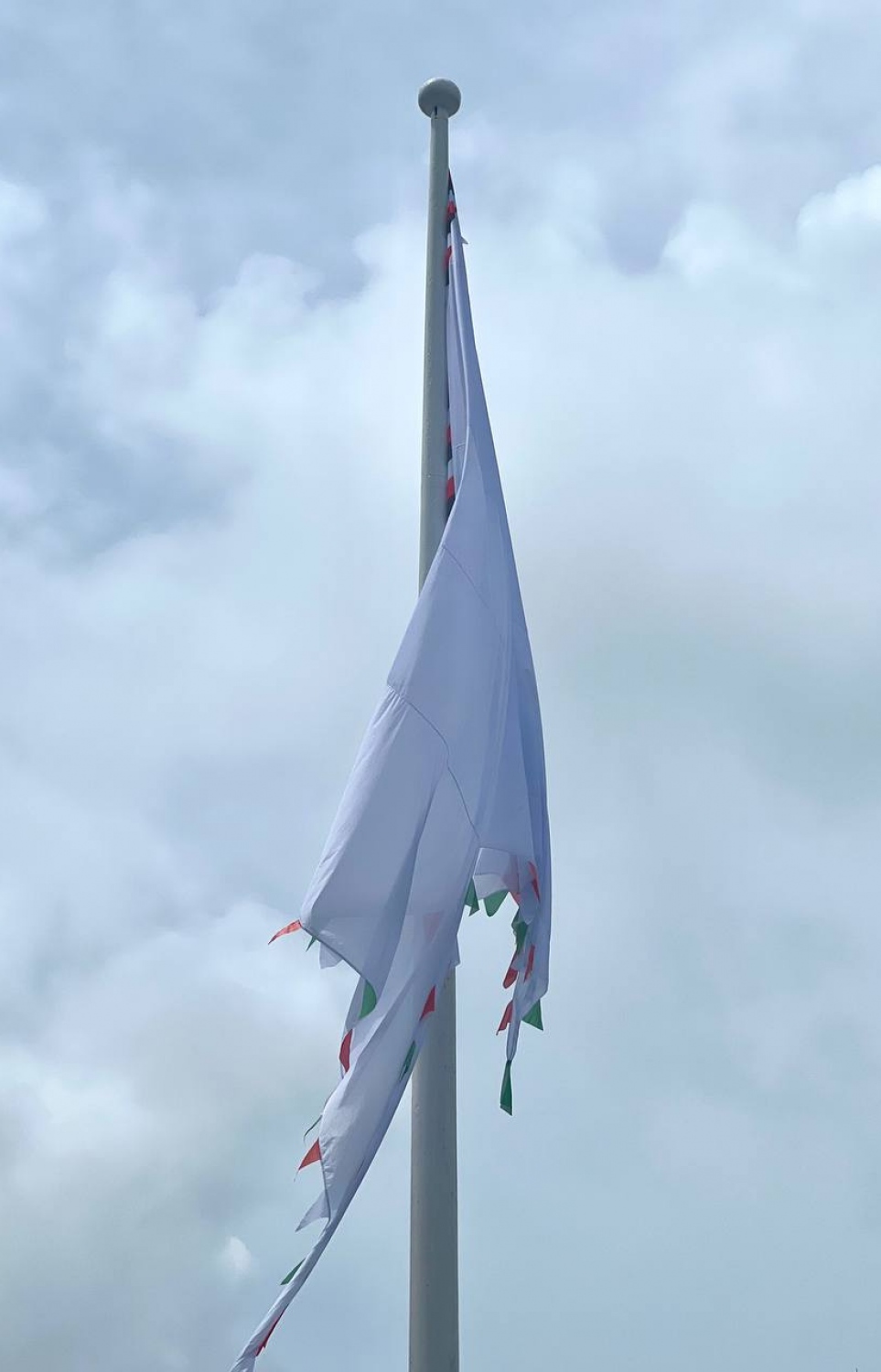 މެދުޒިޔާރަތުގައި އިހު ހުރި ގޮތަށް ނަގާފައި ހުރި ބޮޑު ދިދަ -- ފޮޓޯ: މިހާރު