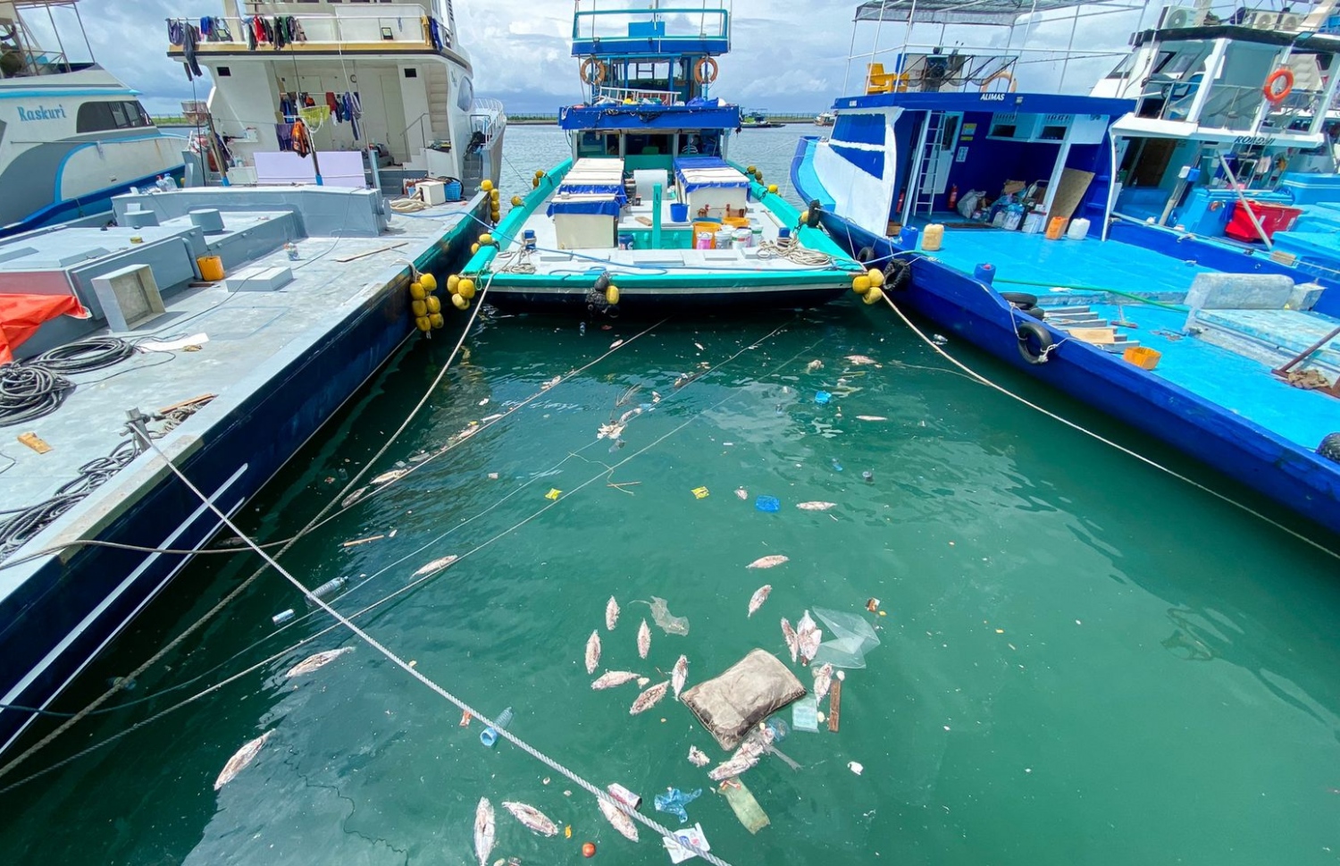 ކަންނެލި ޖެޓީގައި އަޅާފައި އޮތް ދޯނިތަކެއް.-- ފޮޓޯ: ފަޔާޒު މޫސާ \ މިހާރު