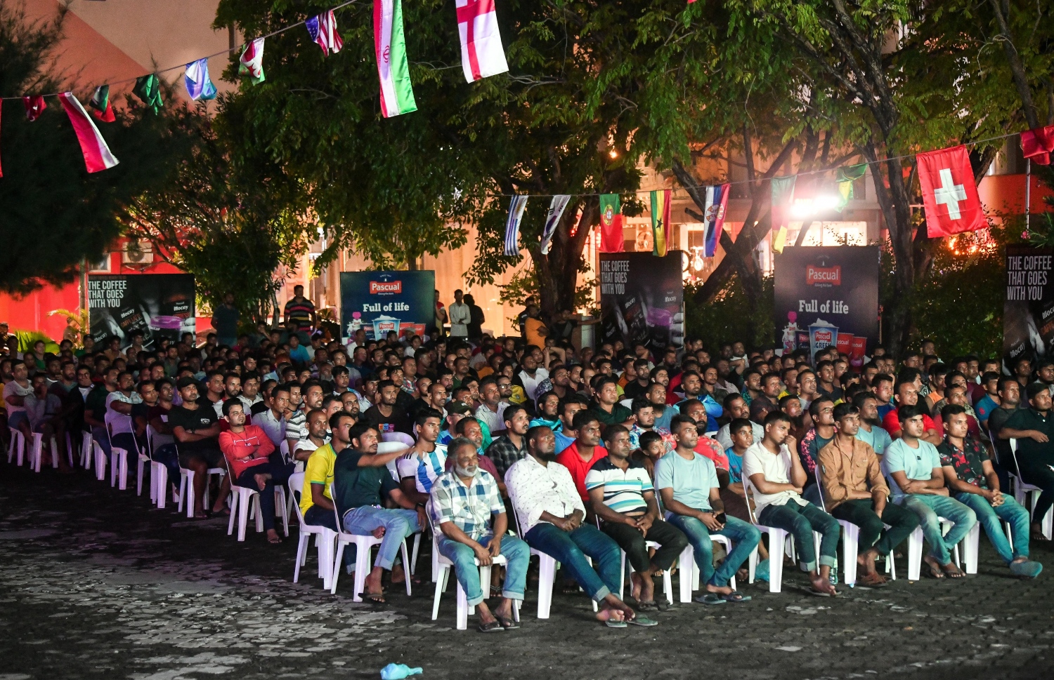 ވޯލްޑް ކަޕް ފޯރި ބޮޑު ސްކްރީންތަކަށް