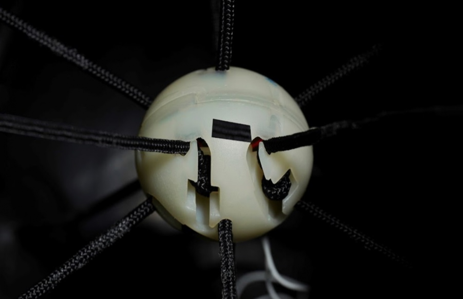 ބޯޅައިގައި ޗިޕް ހަރުކޮށްފައިވާ ރަބަރު އެތިކޮޅު: މީތިކޮޅު އިންނަނީ ބޯޅައިގެ އެތެރޭ ހަރުކޮށްފަ