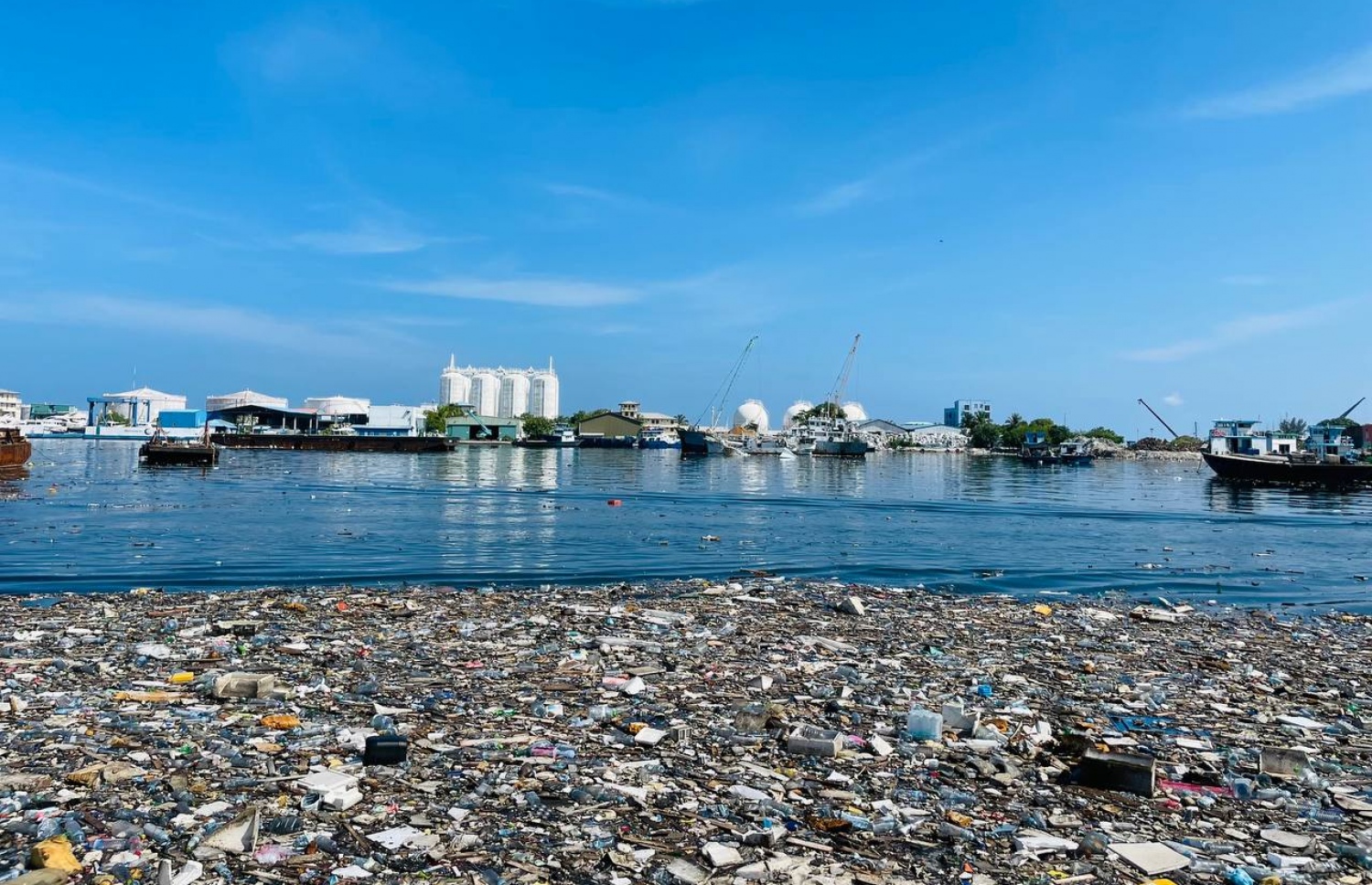 މޫދަށް އުކާފައި ހުންނަ ކުނިތަކުން ތިލަފުށި ފަޅުތެރެ ފުރިފައި -- ފޮޓޯ: ވެމްކޯ