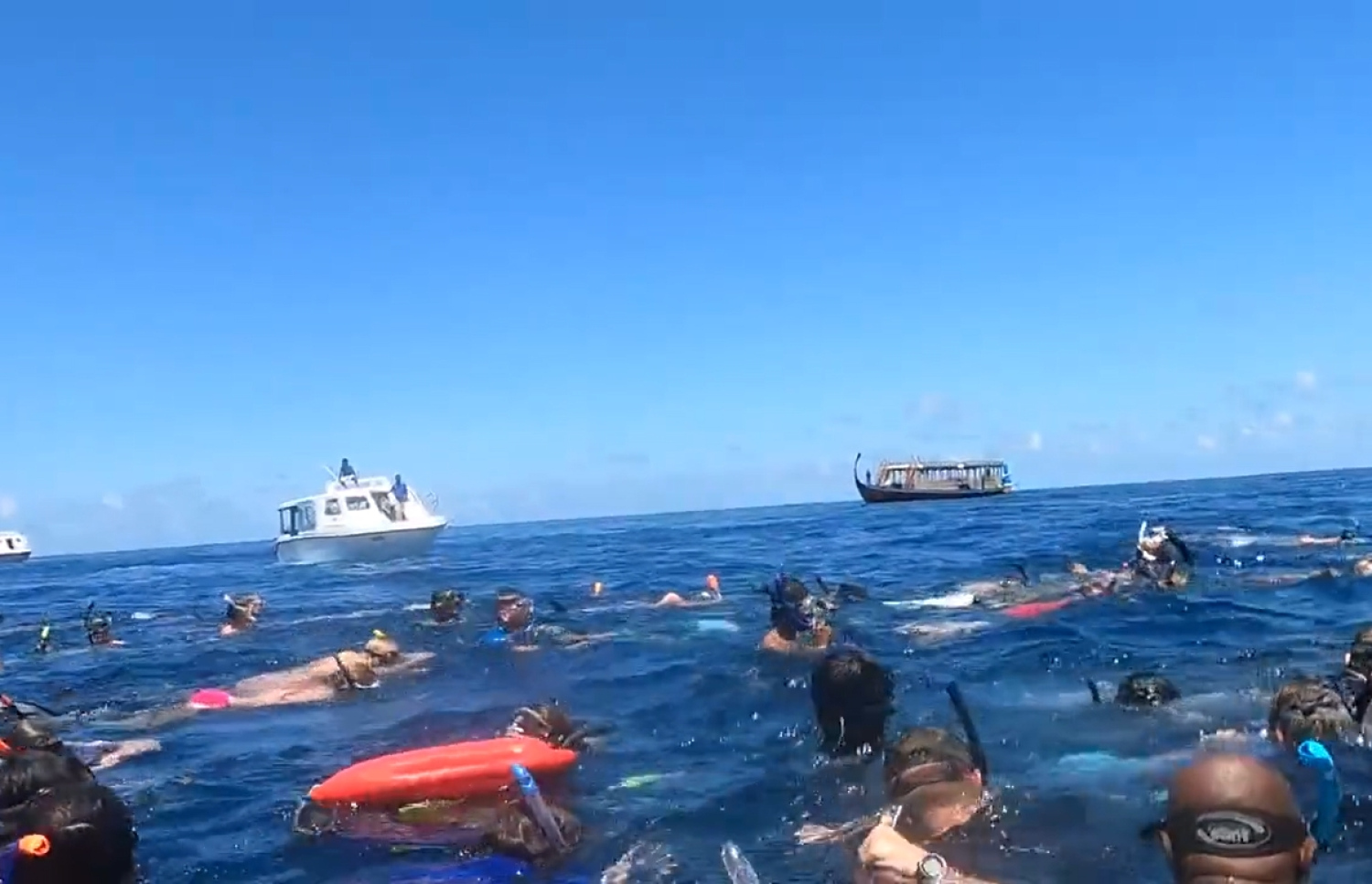 އދ. އަތޮޅުގެ ވޭލް ޝާކް ޕޮއިންޓަށް ފެހުރިހި ބަލަން ދިޔަ ޓޫރިސްޓުންތަކެއް ތޮއްޖެހިފައި. -- ވީޑިއޯ ސްކްރީންޝޮޓް: ޖެފް ރޯޒް / ޓުވިޓާ