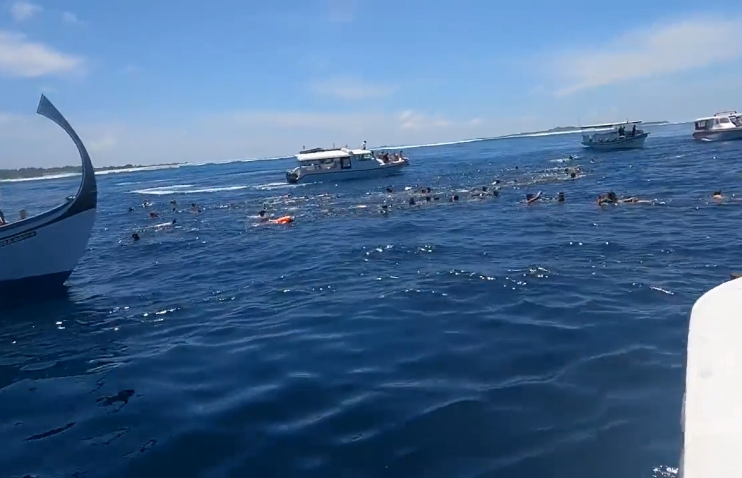 އދ. އަތޮޅުގެ ވޭލް ޝާކް ޕޮއިންޓަށް ފެހުރިހި ބަލަން ދިޔަ ޓޫރިސްޓުންތަކެއް ތޮއްޖެހިފައި -- ވީޑިއޯ ސްކްރީންޝޮޓް: ޖެފް ރޯޒް / ޓުވިޓާ