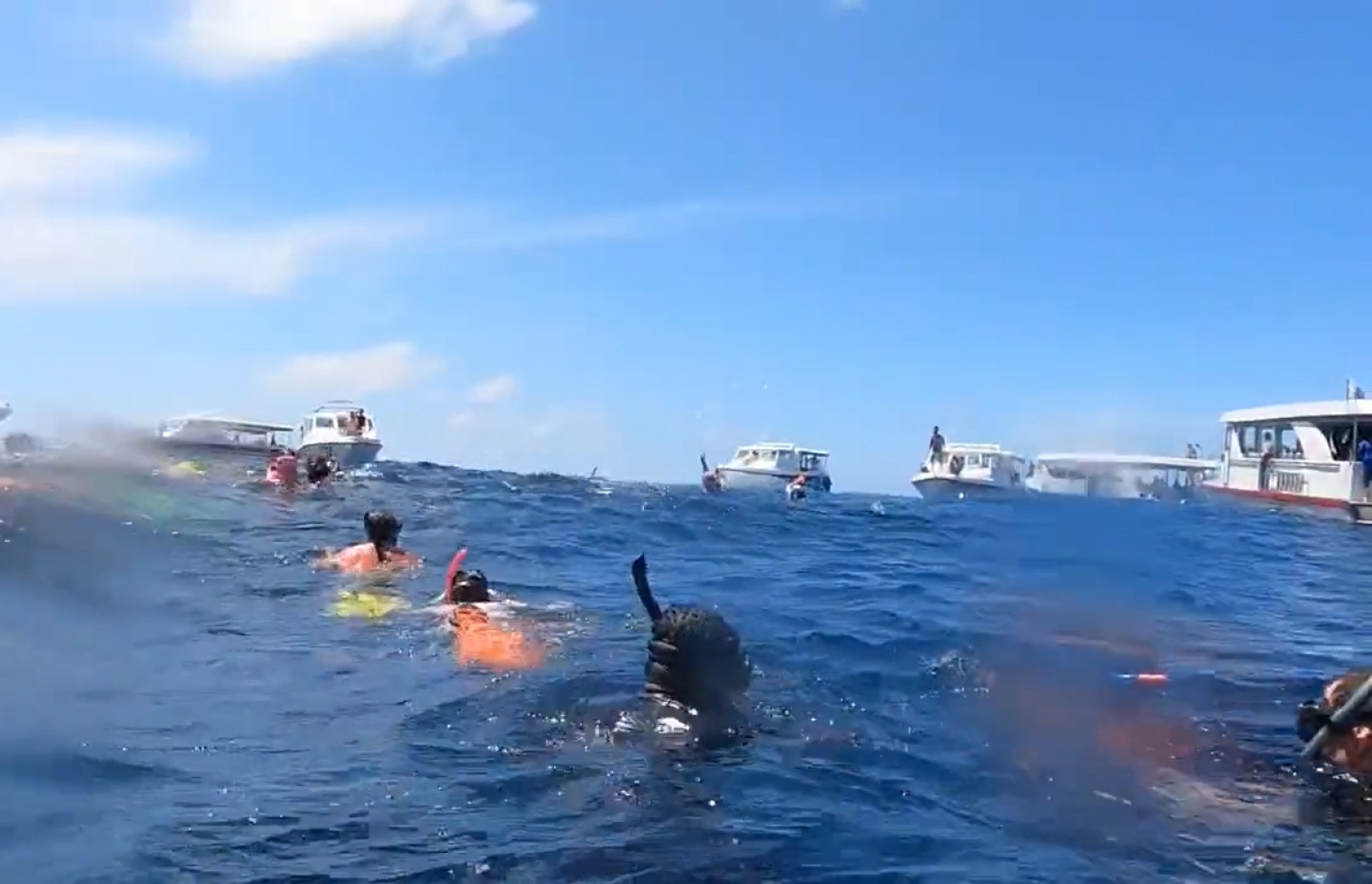 އދ. އަތޮޅުގެ ވޭލް ޝާކް ޕޮއިންޓަށް ފެހުރިހި ބަލަން ދިޔަ ޓޫރިސްޓުންތަކެއް ތޮއްޖެހިފައި -- ވީޑިއޯ ސްކްރީންޝޮޓް: ޖެފް ރޯޒް / ޓުވިޓާ