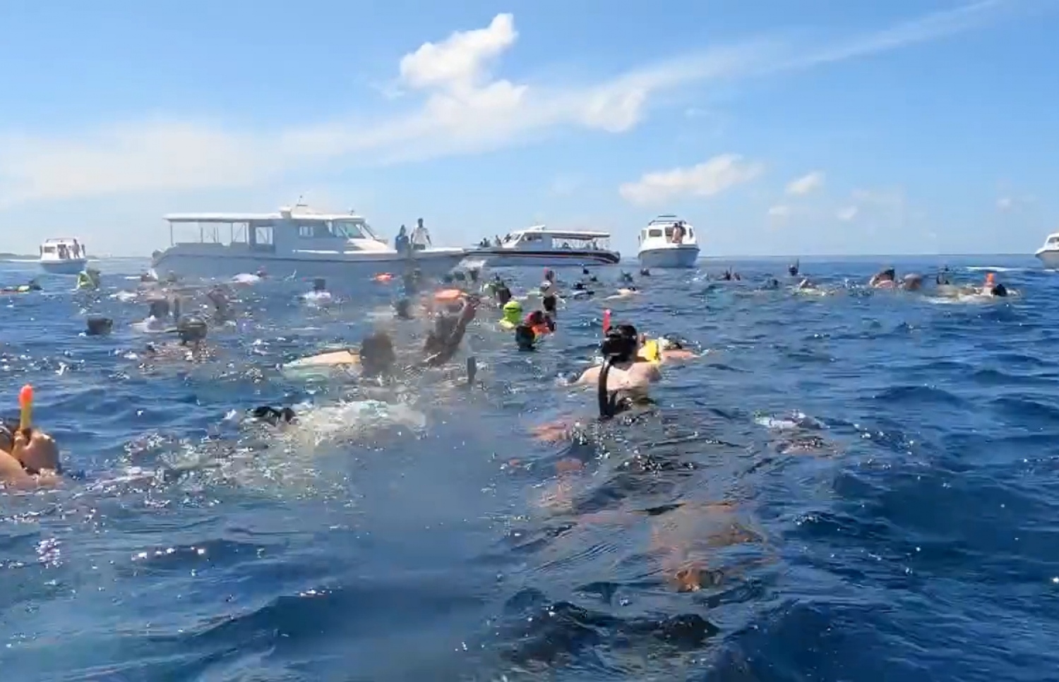 އދ. އަތޮޅުގެ ވޭލް ޝާކް ޕޮއިންޓަށް ފެހުރިހި ބަލަން ދިޔަ ޓޫރިސްޓުންތަކެއް ތޮއްޖެހިފައި -- ވީޑިއޯ ސްކްރީންޝޮޓް: ޖެފް ރޯޒް / ޓުވިޓާ