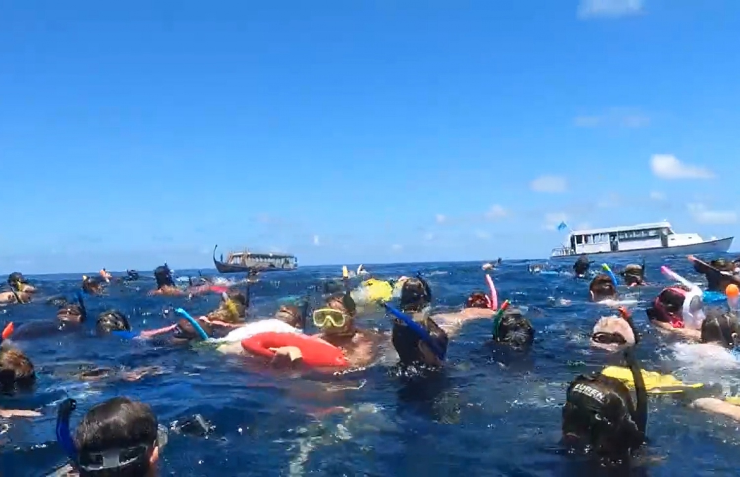 އދ. އަތޮޅުގެ ވޭލް ޝާކް ޕޮއިންޓަށް ފެހުރިހި ބަލަން ދިޔަ ޓޫރިސްޓުންތަކެއް ތޮއްޖެހިފައި -- ވީޑިއޯ ސްކްރީންޝޮޓް: ޖެފް ރޯޒް / ޓުވިޓާ