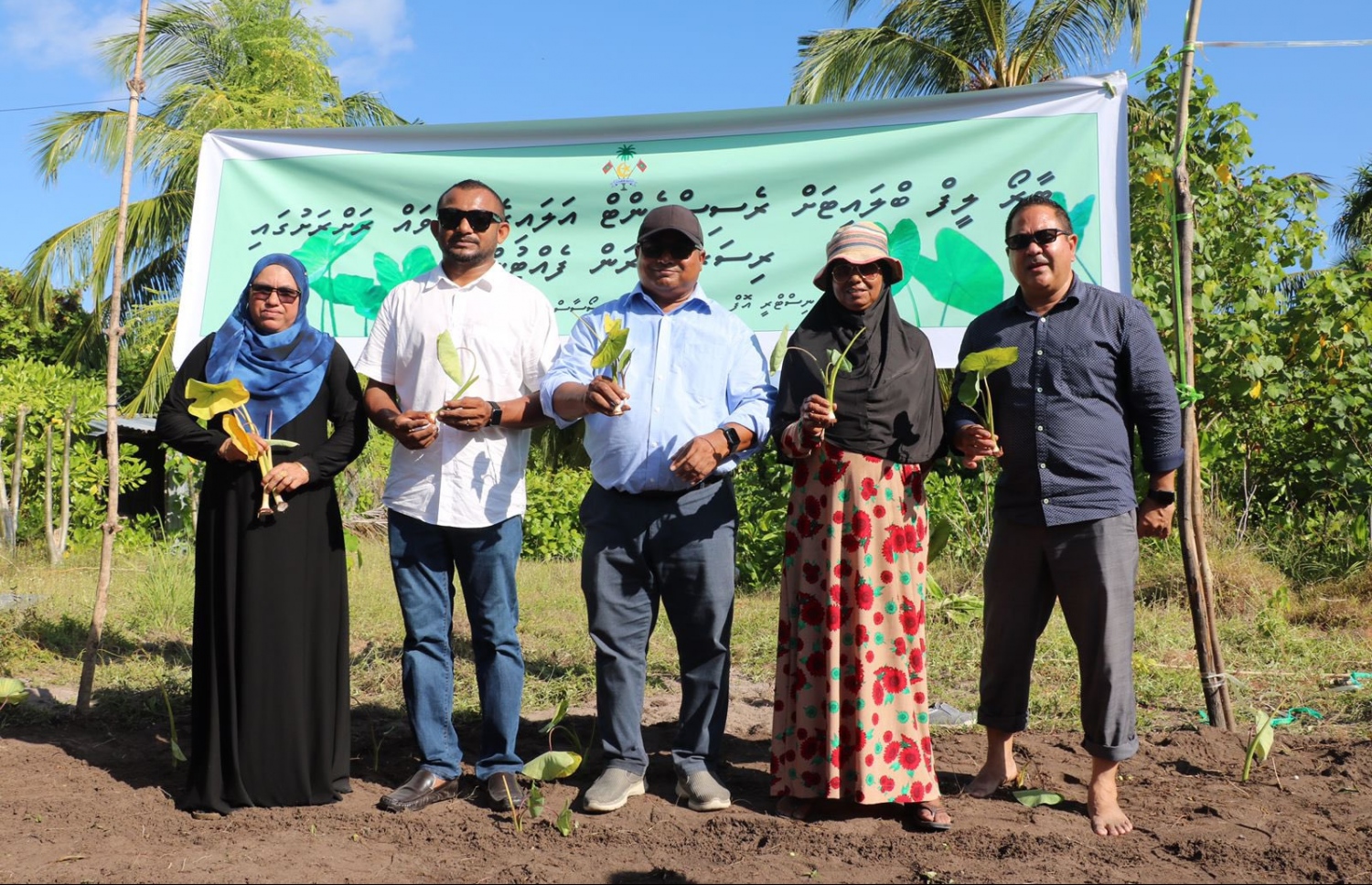 ކެންޔާއިން ގެނައި ޓާރޯލީފް ބްލައިޓް ބަލިޖެހުންދުރު އަލައިގެ ވައްތަރެއްގެ މުޑުވައް ގދ. ގައްދޫގައި އިންދުމަށް ބޭއްވި ރަސްމިއްޔާތުގައި އެ ރަށުގެ ބައެއް ދަނޑުވެރިންނާއެކު މިނިސްޓަރު ޑރ. ހުސެއިން ރަޝީދު ހަސަން --