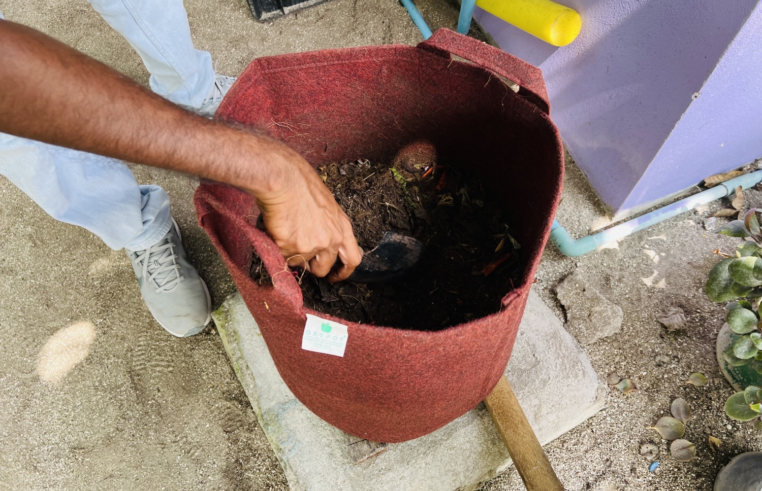 ބ. ކިހާދޫގައި ގޭގޭގައި އުފެދޭ ކުނިވާ ޒާތުގެ ކުނި، ހާއްސަ މެތަޑެއް ބޭނުންކޮށްގެން ގަސްކާނާއަށް ބަދަލުކުރަނީ މި ފޮތި ކޮތަޅަށް އަޅައިގެން -- ފޮޓޯ: މިހާރު