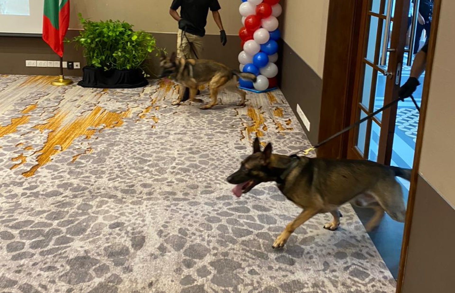 އެމެރިކާ އެމްބަސީން ބޭއްވި ހަރަކާތެއްގައި ކުއްތާ ބޭނުންކުރަނީ.-- ފޮޓޯ: ޕޮލިސް