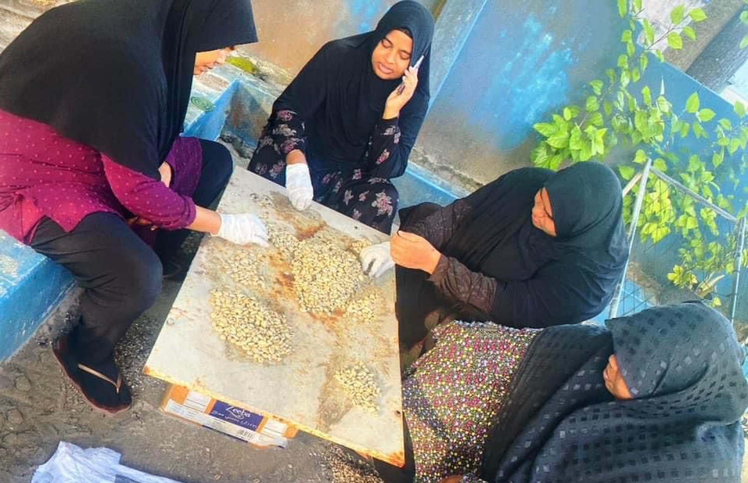 ބޮލި ގުމުގައި އެ ރަށު ޑަބްލިޔުޑީސީ މެމްބަރުން ހަރަކާތްތެރިވަނީ: އެ ރަށުން ފެނުނު ބޮލިވަޅުން ވަނީ ދެ ގޯންޏައި ބައި ގެ ބޮލި ނަގާފައި.-- ފޮޓޯ: ކައުންސިލް