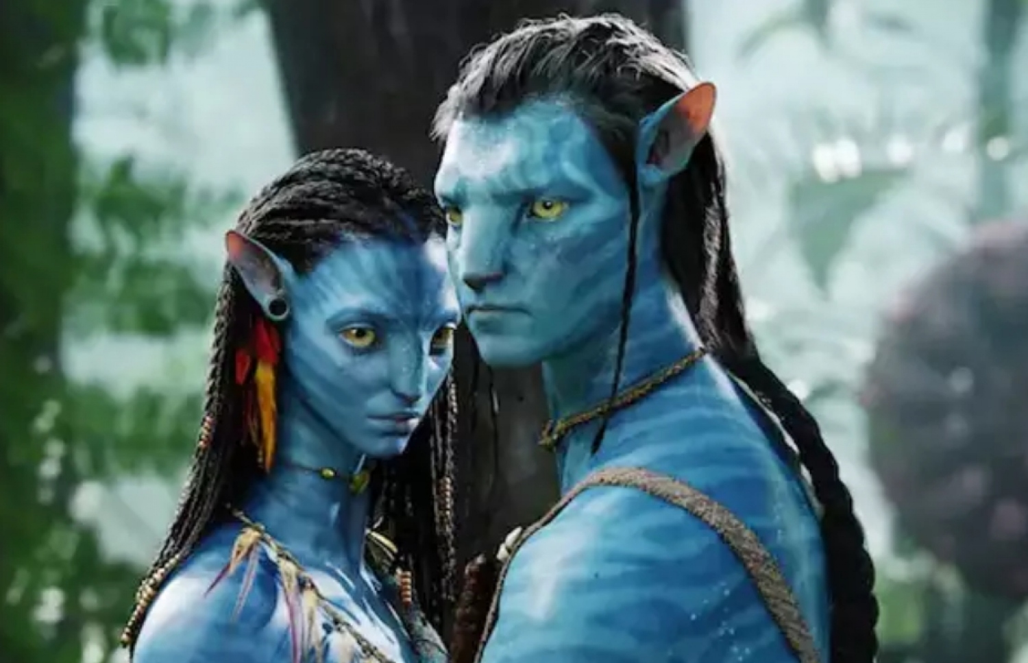 އެވަޓާގެ މެއިން ދެ ކެރެކްޓަރުން: ޖޭކް ސަލީ އާއި ނެއިޓިރީ