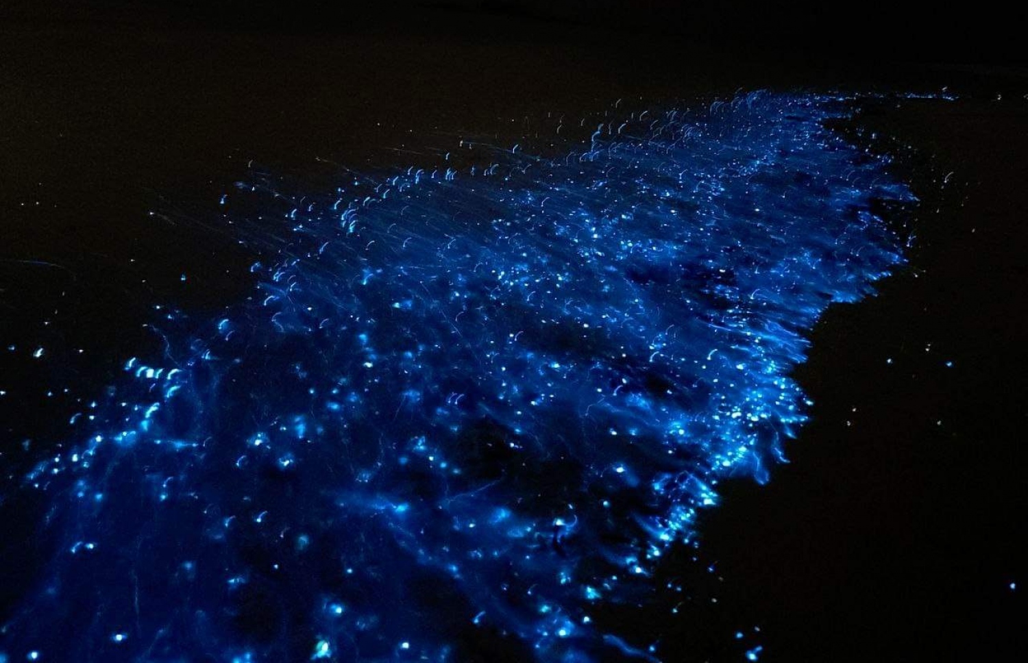 ރ. ހުޅުދުއްފާރުގައި ރެދަންލައިފައި -- ފޮޓޯ: ސަމާހު