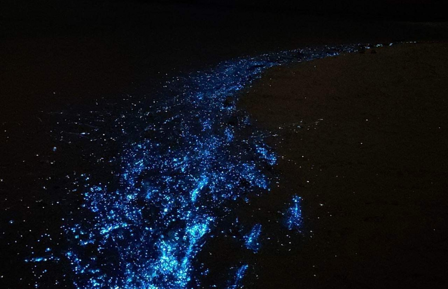 ރ. ހުޅުދުއްފާރުގައި ރެދަންލައިފައި -- ފޮޓޯ: ސަމާހު