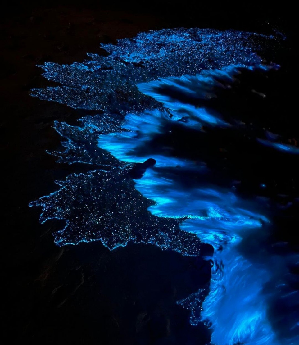 ބ. ދަރަވަންދޫގައި ރެދަންލައިފައި -- ފޮޓޯ: މަނާލް