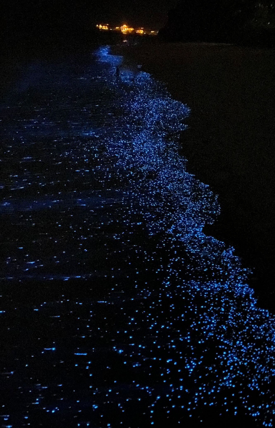 ބ. ސޮނެވާފުށި ރިސޯޓުގައި ރެދަންލައިފައި -- ފޮޓޯ: މޫސާ ހަލީމް