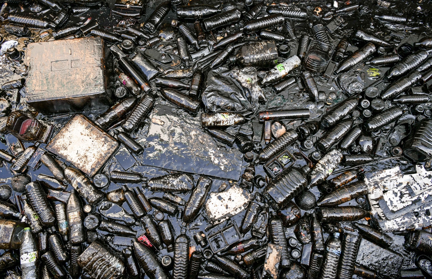 މާލެ މަސް މާރުކޭޓު ދިމާލުން ފަޅުތެރެއަށް ކަޅުތެޔޮ އެޅިފައި: 1،000 ލީޓަރު ތެޔޮ އެޅިފައި އޮތް ކަމަށް ބެލެވޭ.-- ފޮޓޯ: ނިޝާން އަލީ / މިހާރު