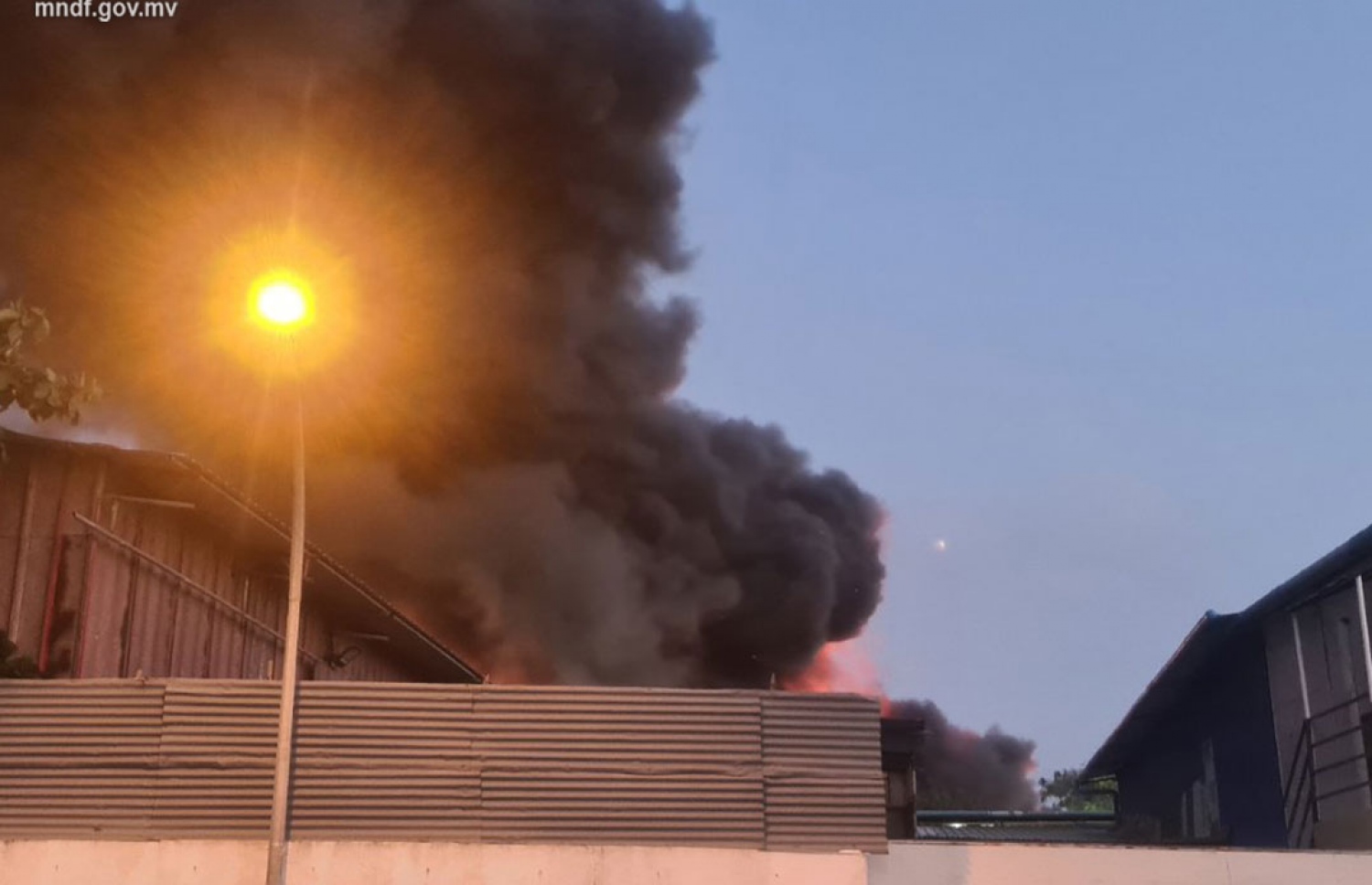 އަލިފާން ރޯވެ ދުން ބޯވެފައި: އެމްއެންޑީއެފުން އަންނަނީ މި އަލިފާން ނިއްވާލުމުގެ މަސައްކަތް ކުރަމުން. -- ފޮޓޯ | މިހާރު