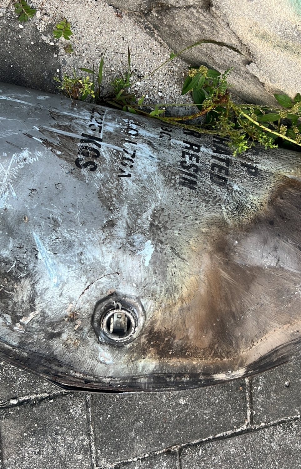 ނީލަން ފިހާރައިގައި ރޯވުމާ އެކު ވަރަށް ދުރަށް ވިއްސައިގެން ދިޔަ ފީފާއެއްގެ މަތިގަނޑު.  -- ފޮޓޯ | މިހާރު