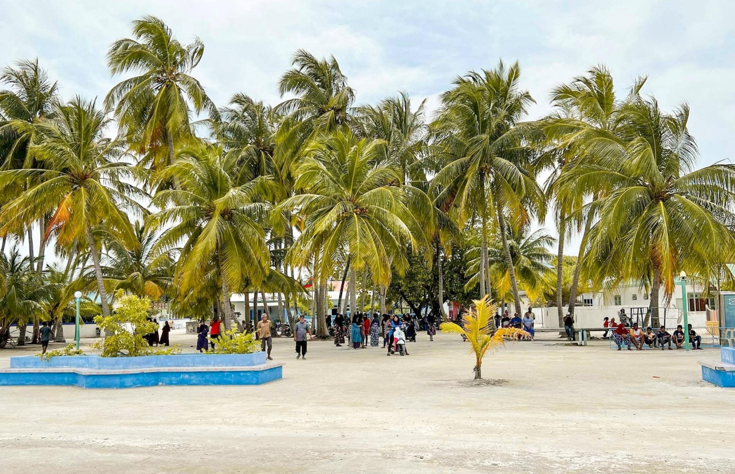 އއ. މަތިވެރިން ގެއްލުނު ހަސަންފުޅު ހޯދުމުގެ މަސައްކަތުގައި އެ ރަށު ރައްޔިތުން ބައިވެރިވަނީ -- ފޮޓޯ: މަތިވެރި ފޭސްބުކް ޕޭޖް