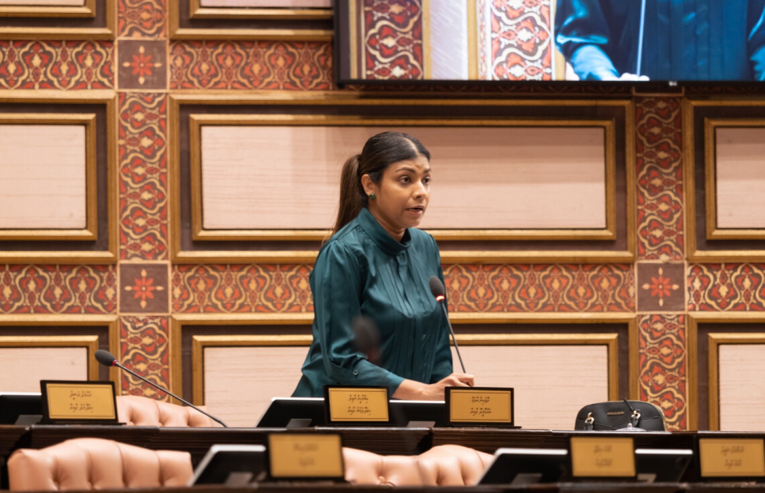 ރޮޒައިނާ އާދަމް މަޖިލީހުގައި ވާހަކަ ދައްކަވަނީ. -- ފޮޓޯ | މަޖިލިސް