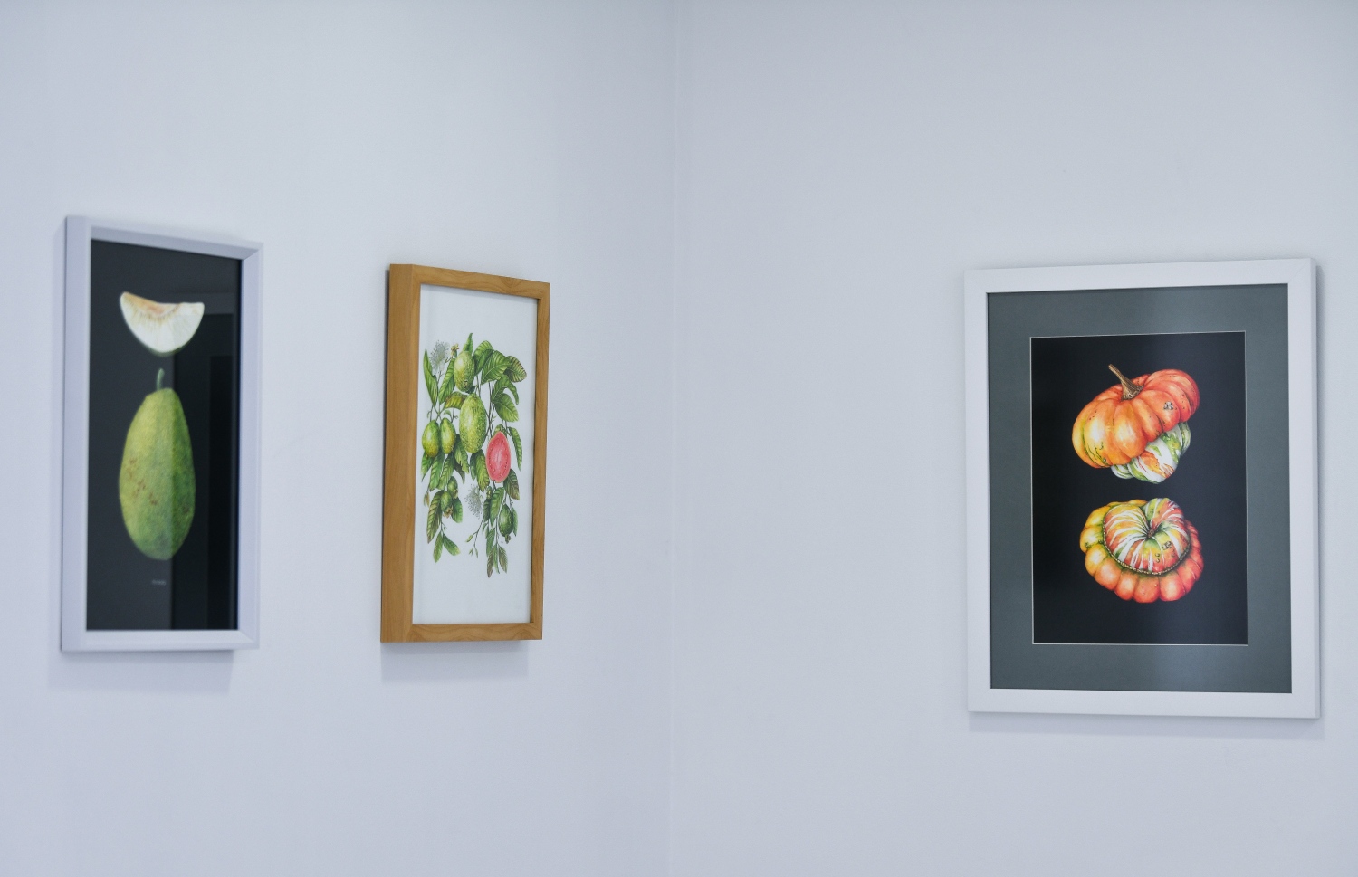 މަރީ އެގްޒިބިޝަންގައި ބަހައްޓާފައިވާ ބައެއް ޕެއިންޓިންތައް. މި ޕެއިންޓިންތަކަކީ ރާއްޖޭގައި ހެދޭ ބާވަތްތައް ހިމަނައިގެން ތައްޔާރު ކޮށްފައިވާ ޕެއިންޓިންތަކެއް. -- ފޮޓޯ: ފަޔާޒް މޫސާ | މިހާރު