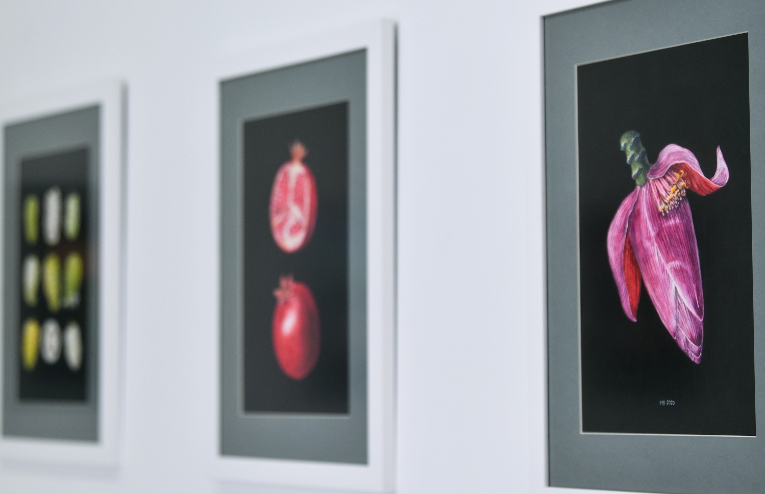 އެގްޒިބިޓު ކޮށްފައިވާ މަރީގެ ބައެއް ޕެއިންޓިންތައް. -- ފޮޓޯ: ފަޔާޒް މޫސާ | މިހާރު