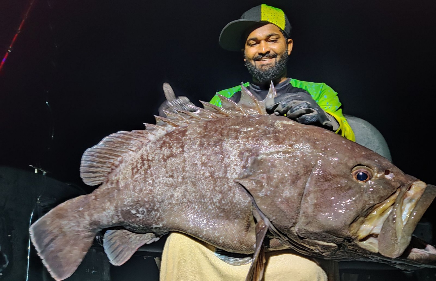 އިމާދު ބޭނި މަހެއް ދައްކާލަނީ.