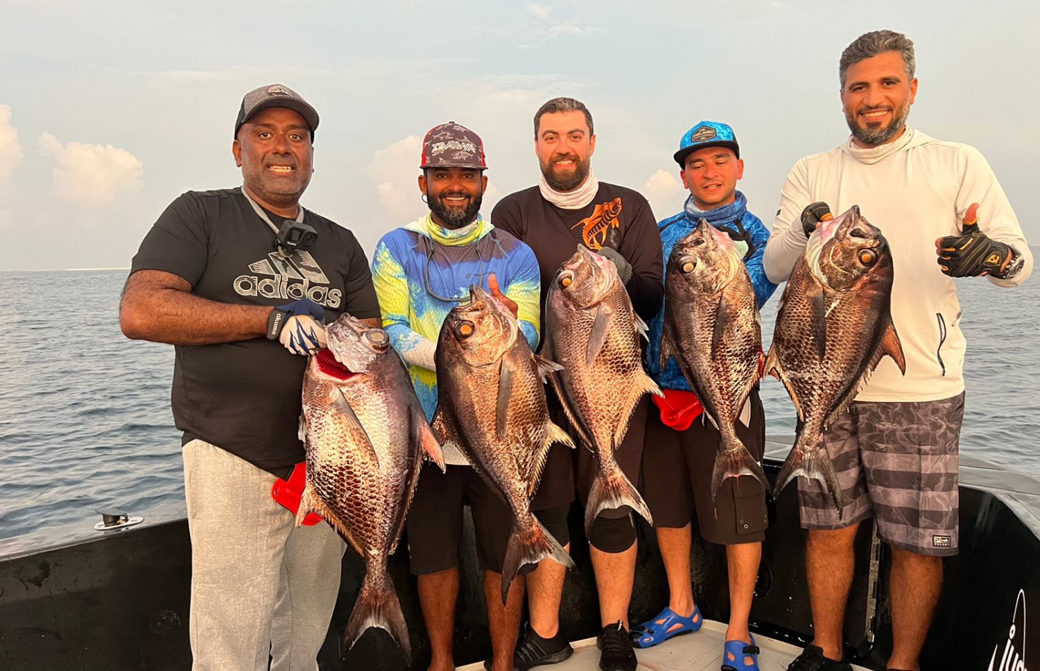 ފަތުރުވެރިން ގޮވައިގެން މަހަށް ގޮސް. --