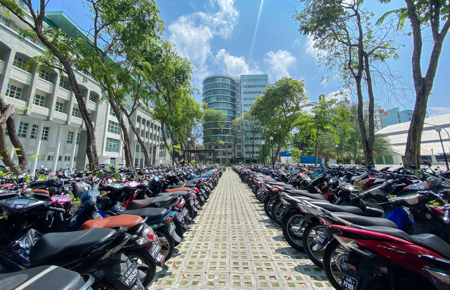 ކުރިން ހުރަވީ ބިލްޑިން ހުރި ބިމުގައި ހަދާފައިވާ ޕާކިން ޒޯން: އޮފީސް ގަޑިޔަކުގައި އެތަން ވެސް ފުރި ޕާކިން ޖާގަ އޮންނަނީ ނުލިބިފައި -- ފޮޓޯ: ފަޔާޒް މޫސާ | މިހާރުު