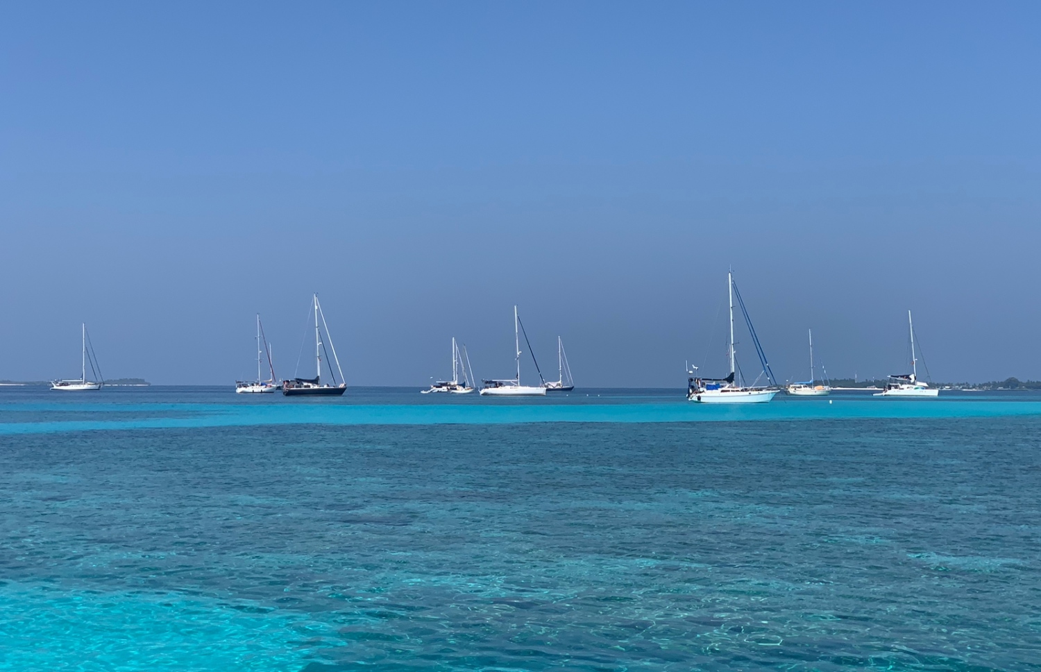 އުލިގަމަށް ބަނދަރު ކޮށްފައި ހުރި ޔޮޓްތަކެއް: އިތުރު ޔޮޓްތައް މި އަހަރު އުލިގަމަށް އަދިވެސް އަންނާނެ ކަމަށް އެޖެންޓުން ބުނޭ.