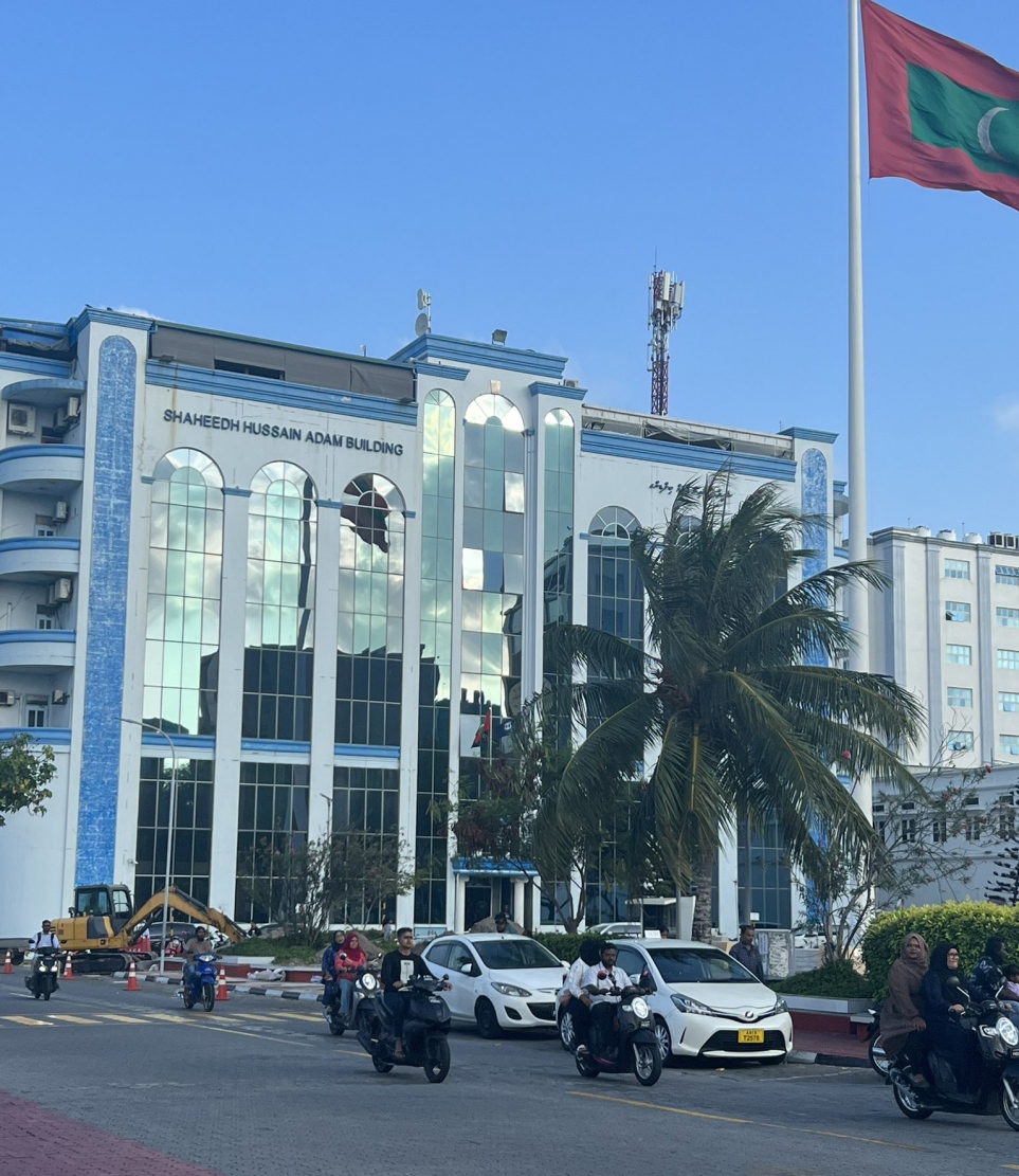 ޖުމްހޫރީ މައިދާނުގައި ހުރި ރުއްތައް ނެގުމުގެ މަސައްކަތް ކުރަނީ -- ފޮޓޯ: ޒަޔާން އިސްމާއިލް | ޓުވިޓާ