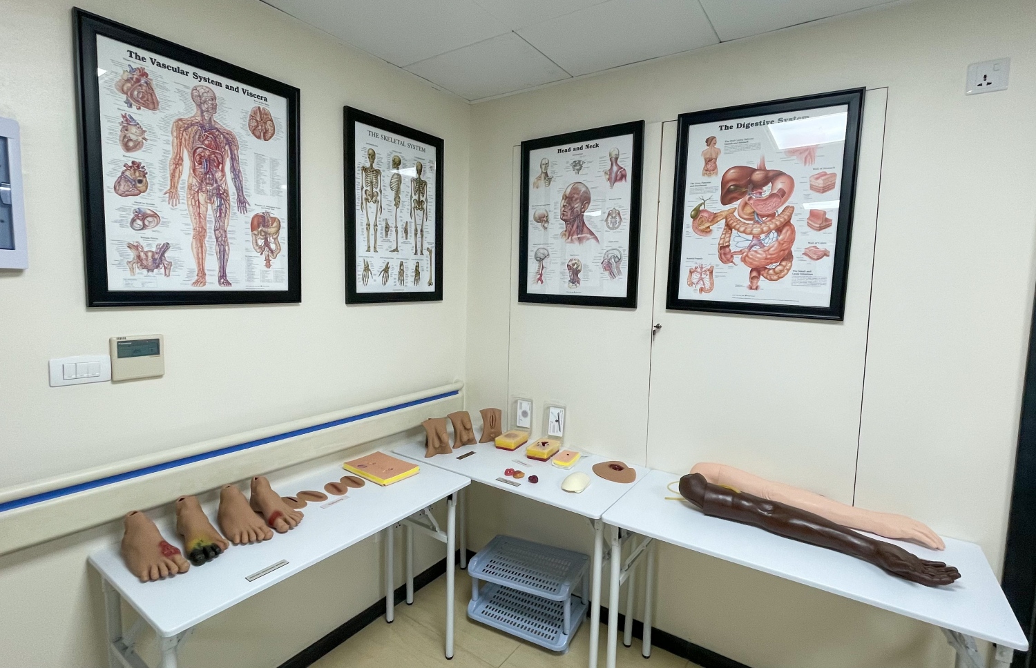 ނަރުހުންނަށް ބޭނުން ވާނެ ތަމްރީނުތައް ދިނުމަށް އިންސްޓިޓިއުޓް އޮތީ ތައްޔާރަށް. -- ފޮޓޯ: އޭޑީކޭ