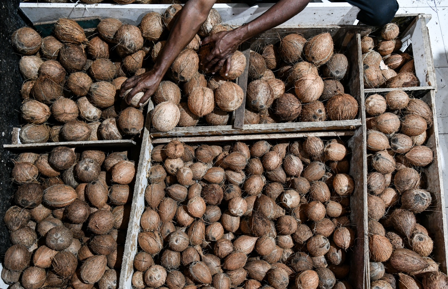 ލޯކަލް މާރުކޭޓުގައި ގޮޅިއެއްގައި ހުރި ކާށި. ކާށި ބަސްތާއެއް މިހާރު ލިބެނީ 1600 ރުފިޔާ އަށް--  ފޮޓޯ: ނިޝާން އަލީ /މިހާރު