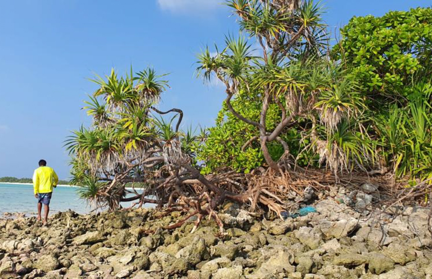 ހިމިތި: މިހާރު ދަނީ ވަރަށް ބޮޑަށް ހަލާކުވަމުން -- ފޮޓޯ: ޖައިލަމް މަހުމޫދު / މިހާރު