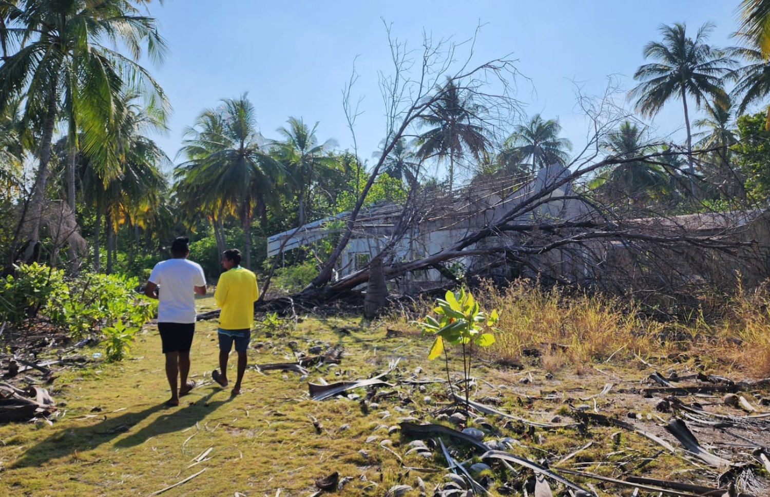 ހިމިތި ރަށުތެރެ: ރަށު ތެރެއިން ފެންނަނީ ވީރާނާކަން
