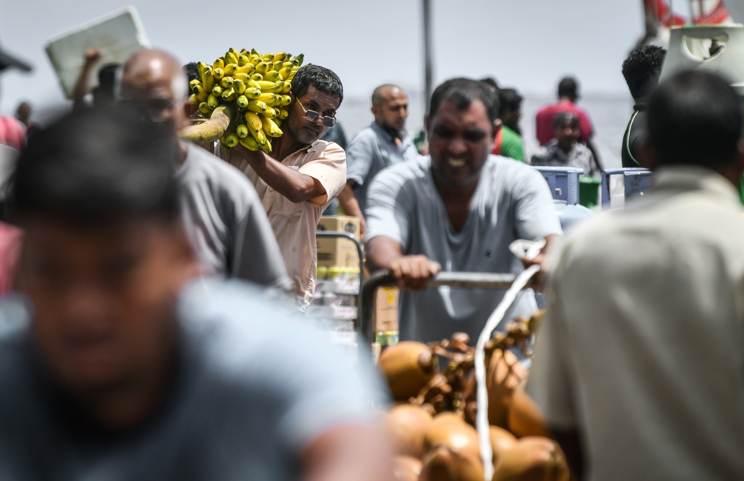 މާރުކޭޓު ސަރަހައްދުގައި މީހަކު ދޮންކެޔޮގަނޑެއް އުފުލަނީ ، ބާޒާރުމަތީ އަގުތަކަށް ބަލާލާއިރު ކުރިއެކޭ އެއްގޮތަށް މިއަހަރުވެސް ދިވެހިން އާންމުކޮށް ބޭނުންކުރާ މޭވާ އާއި ތަރުކާރީގެ ގިނަ ބާވަތްތަކުގެ އަގު ވަނީ ބޮޑުތަނުން އުފުލިފައި -- ފޮޓޯ: ނިޝާން އަލީ | މިހާރު