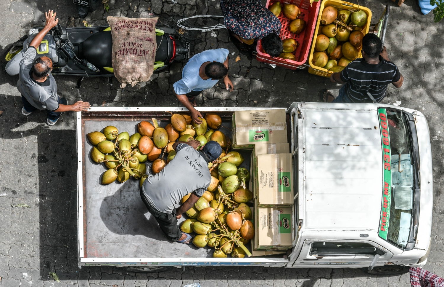 ލޯކަލް މާރުކޭޓު ސަރަހައްދުން ތަރުކާރީ އަރުވައިގެން ޕިކަޕެއް ދުއްވާފައި ދަނީ: ރޯދަ މަހުގެ ތައްޔާރީތަކާ އެކު، މާލޭގެ ބާޒާރުމަތީގެ ސަރަހައްދު ވަނީ ވަރަށް ބޮޑަށް ހަލަބޮލިވެފައި.-- ފޮޓޯ: ނިޝާން އަލީ | މިހާރު