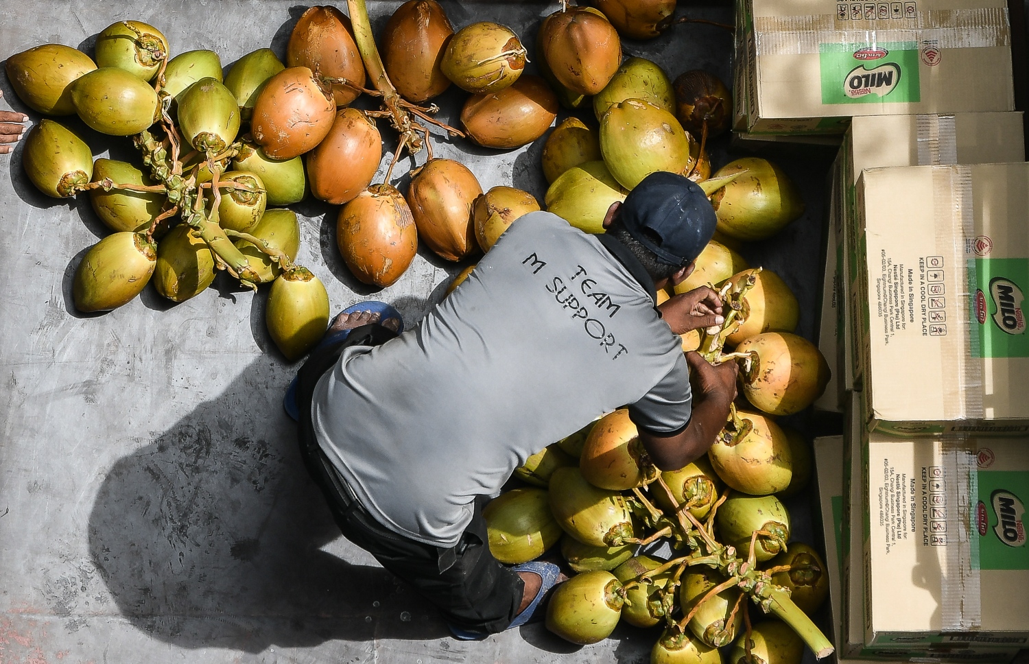 ވަޅޯމަސް މާރުކޭޓު ސަރަހައްދުން ޕިކަޕެއްގައި ކުރުނބާ އުފުލަނީ.-- ފޮޓޯ: ނިޝާން އަލީ/މިހާރު