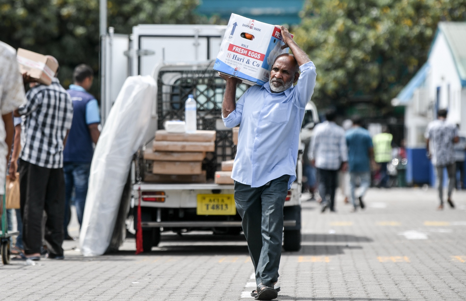 ލޯކަލް މާރުކޭޓު ސަރަހައްދުގައި މީހަކު ބިސް ކޭހެއް ހިފަައިގެން ދަނީ، ބިސް ކޭހެއް އެވްރެޖްކޮށް އުޅެނީ 300ރ. ގައި.-- ފޮޓޯ:ނިޝާން އަލީ / މިހާރު